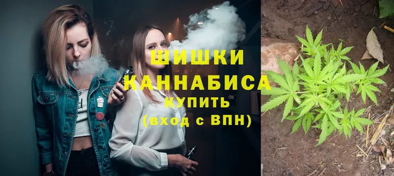 Бошки марихуана OG Kush  Гороховец 